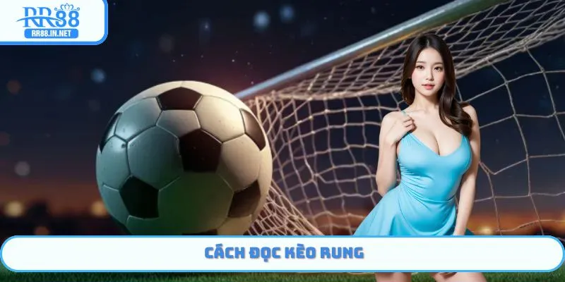 Hướng dẫn về cách thức đọc kèo rung RR88 đơn giản