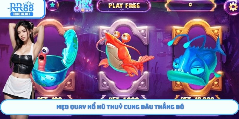Mẹo quay nổ hũ thuỷ cung đâu thắng đó