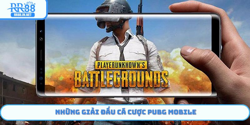 Một số giải đấu Cá cược PUBG Mobile