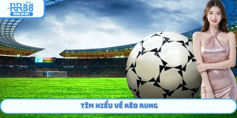 Một vài thông tin giới thiệu về kèo rung RR88